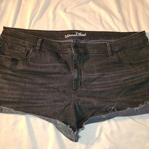 Universal thread distressed shorts